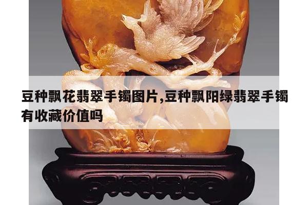 豆种飘花翡翠手镯图片,豆种飘阳绿翡翠手镯有收藏价值吗