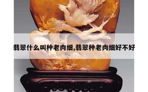 翡翠什么叫种老肉细,翡翠种老肉细好不好