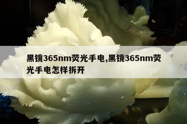 黑镜365nm荧光手电,黑镜365nm荧光手电怎样拆开