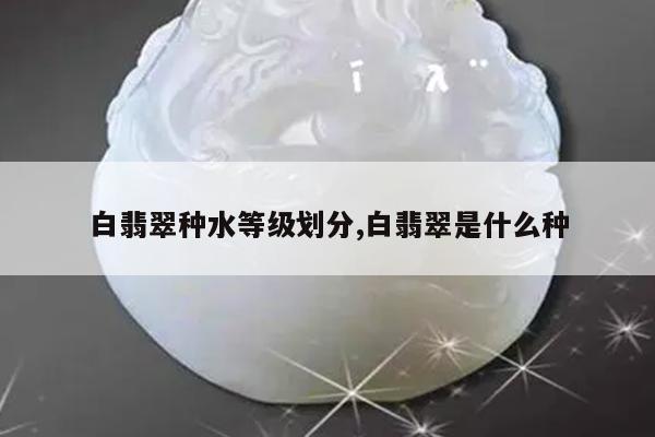 白翡翠种水等级划分,白翡翠是什么种
