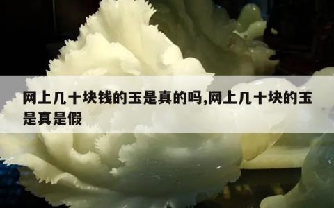 网上几十块钱的玉是真的吗,网上几十块的玉是真是假