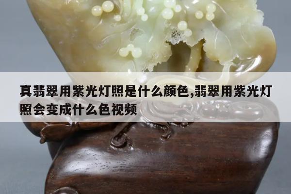 真翡翠用紫光灯照是什么颜色,翡翠用紫光灯照会变成什么色视频