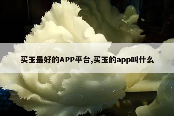 买玉最好的APP平台,买玉的app叫什么