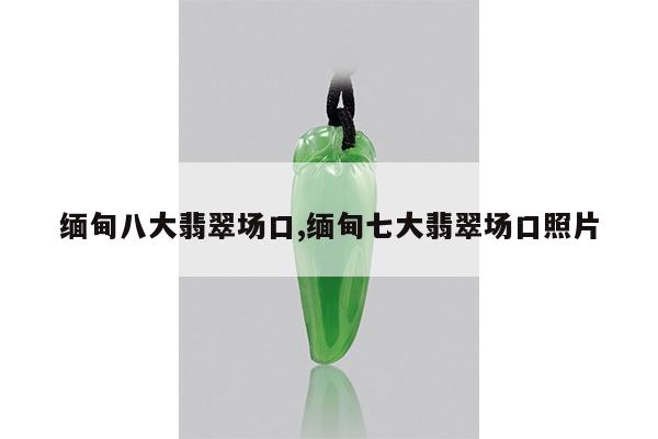 缅甸八大翡翠场口,缅甸七大翡翠场口照片