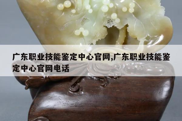 广东职业技能鉴定中心官网,广东职业技能鉴定中心官网电话