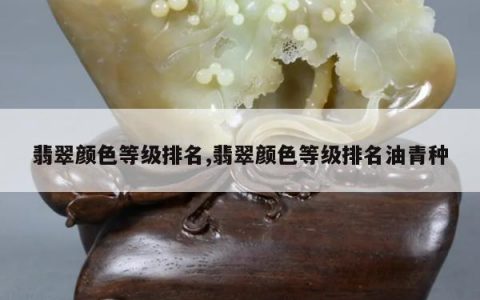 翡翠颜色等级排名,翡翠颜色等级排名油青种