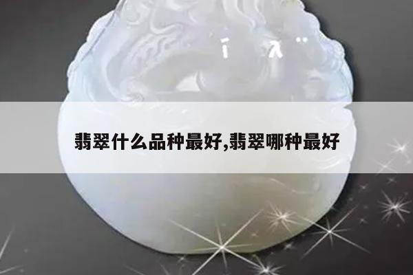 翡翠什么品种最好,翡翠哪种最好