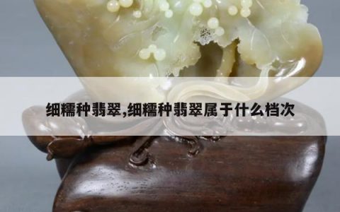 细糯种翡翠,细糯种翡翠属于什么档次