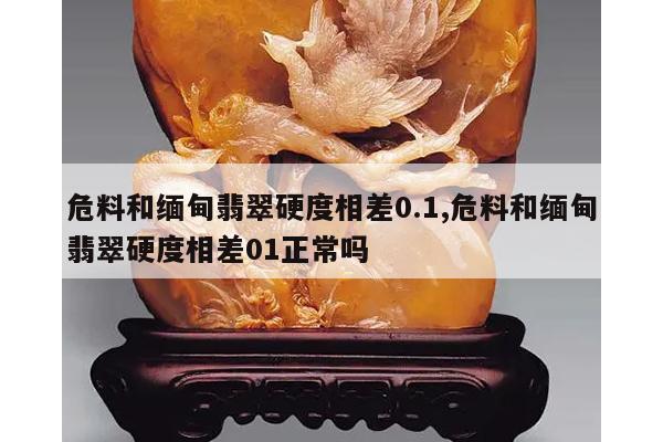 危料和缅甸翡翠硬度相差0.1,危料和缅甸翡翠硬度相差01正常吗
