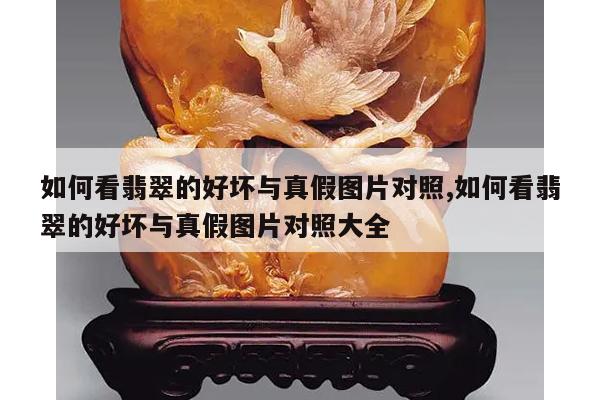 如何看翡翠的好坏与真假图片对照,如何看翡翠的好坏与真假图片对照大全