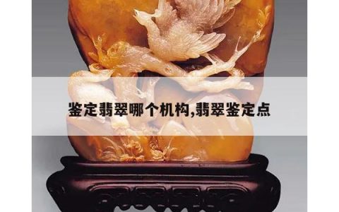 鉴定翡翠哪个机构,翡翠鉴定点