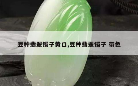 豆种翡翠镯子黄口,豆种翡翠镯子 带色