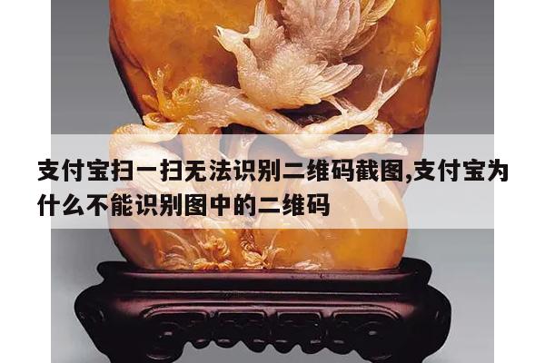 支付宝扫一扫无法识别二维码截图,支付宝为什么不能识别图中的二维码