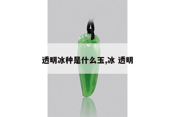 透明冰种是什么玉,冰 透明