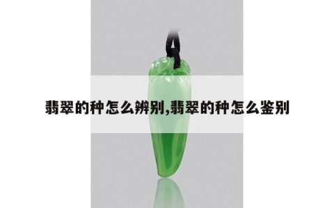 翡翠的种怎么辨别,翡翠的种怎么鉴别