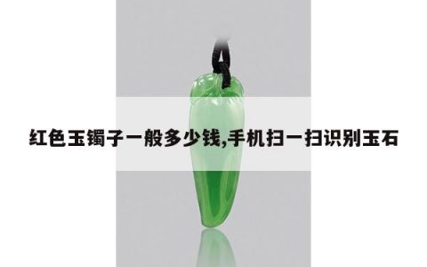 红色玉镯子一般多少钱,手机扫一扫识别玉石