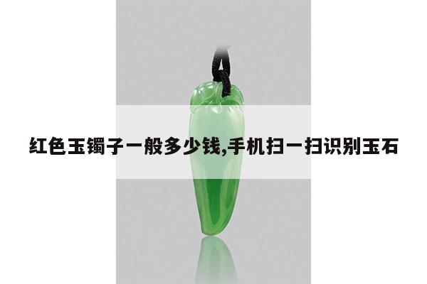 红色玉镯子一般多少钱,手机扫一扫识别玉石