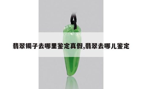 翡翠镯子去哪里鉴定真假,翡翠去哪儿鉴定