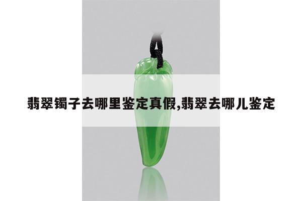 翡翠镯子去哪里鉴定真假,翡翠去哪儿鉴定