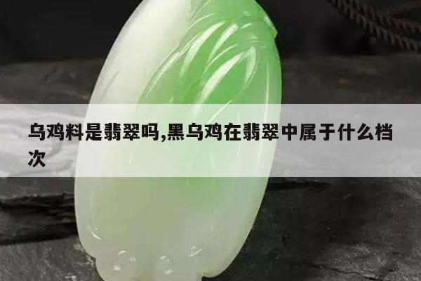 乌鸡料是翡翠吗,黑乌鸡在翡翠中属于什么档次