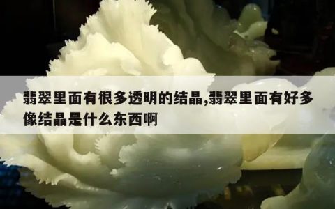 翡翠里面有很多透明的结晶,翡翠里面有好多像结晶是什么东西啊