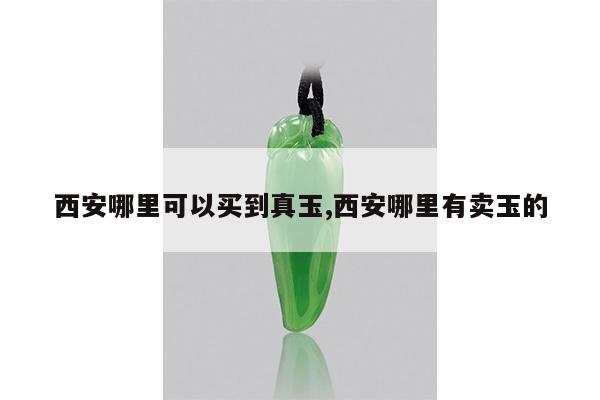 西安哪里可以买到真玉,西安哪里有卖玉的