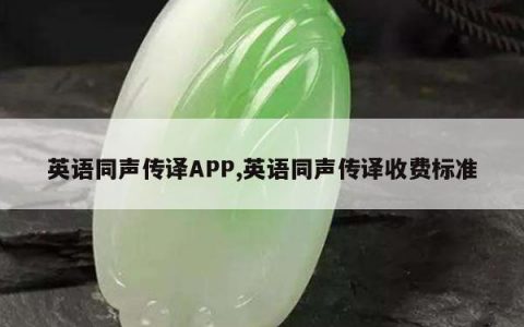 英语同声传译APP,英语同声传译收费标准