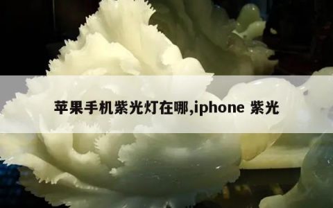 苹果手机紫光灯在哪,iphone 紫光