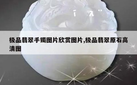 极品翡翠手镯图片欣赏图片,极品翡翠原石高清图