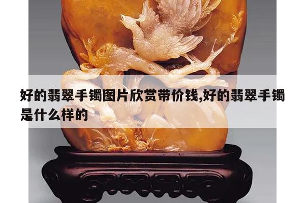 好的翡翠手镯图片欣赏带价钱,好的翡翠手镯是什么样的