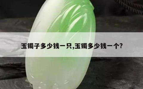 玉镯子多少钱一只,玉镯多少钱一个?
