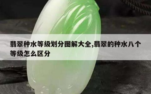 翡翠种水等级划分图解大全,翡翠的种水八个等级怎么区分