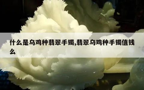 什么是乌鸡种翡翠手镯,翡翠乌鸡种手镯值钱么