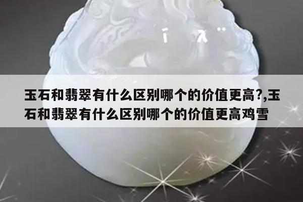 玉石和翡翠有什么区别哪个的价值更高?,玉石和翡翠有什么区别哪个的价值更高鸡雪