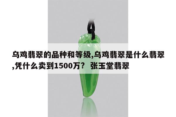 乌鸡翡翠的品种和等级,乌鸡翡翠是什么翡翠,凭什么卖到1500万? 张玉堂翡翠
