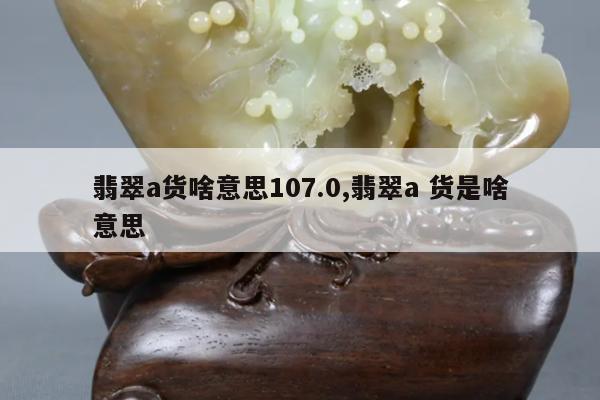 翡翠a货啥意思107.0,翡翠a 货是啥意思