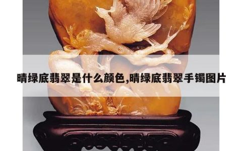 晴绿底翡翠是什么颜色,晴绿底翡翠手镯图片