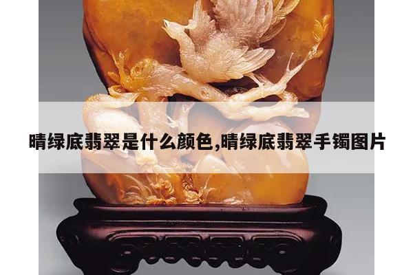 晴绿底翡翠是什么颜色,晴绿底翡翠手镯图片