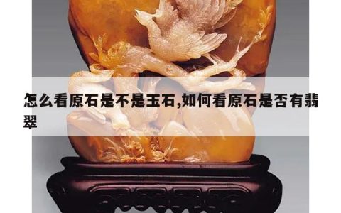 怎么看原石是不是玉石,如何看原石是否有翡翠