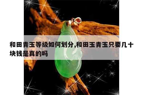 和田青玉等级如何划分,和田玉青玉只要几十块钱是真的吗