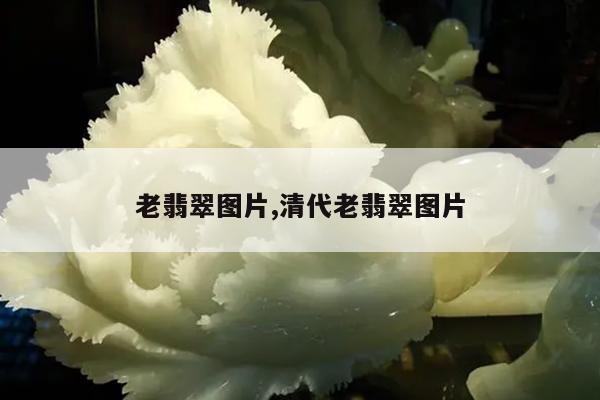 老翡翠图片,清代老翡翠图片