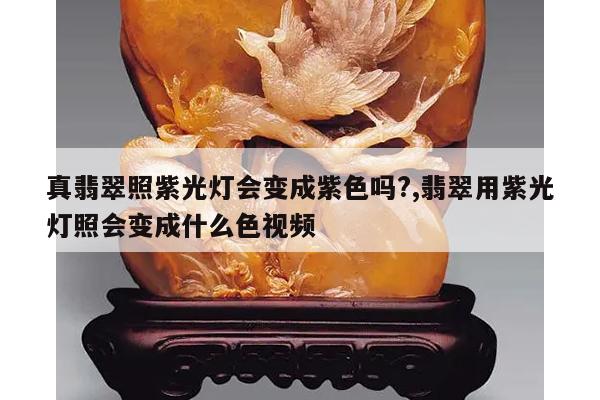 真翡翠照紫光灯会变成紫色吗?,翡翠用紫光灯照会变成什么色视频
