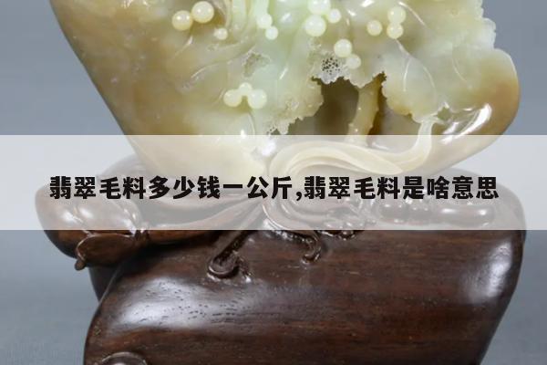 翡翠毛料多少钱一公斤,翡翠毛料是啥意思