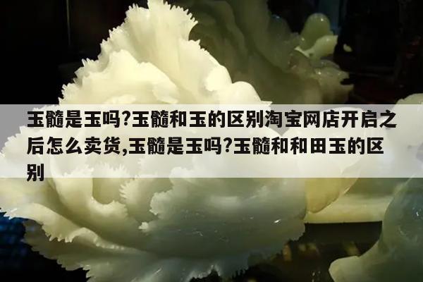 玉髓是玉吗?玉髓和玉的区别淘宝网店开启之后怎么卖货,玉髓是玉吗?玉髓和和田玉的区别
