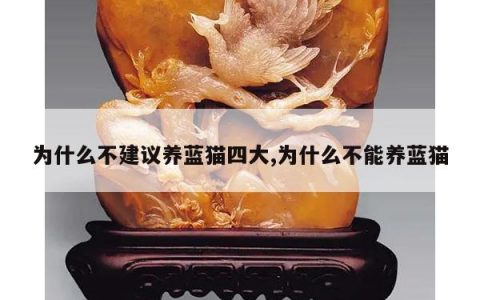 为什么不建议养蓝猫四大,为什么不能养蓝猫