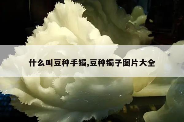 什么叫豆种手镯,豆种镯子图片大全