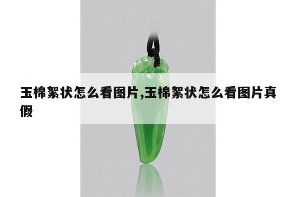 玉棉絮状怎么看图片,玉棉絮状怎么看图片真假