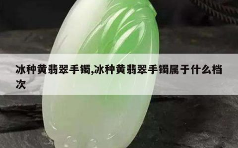 冰种黄翡翠手镯,冰种黄翡翠手镯属于什么档次