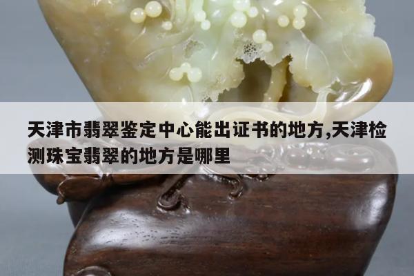 天津市翡翠鉴定中心能出证书的地方,天津检测珠宝翡翠的地方是哪里