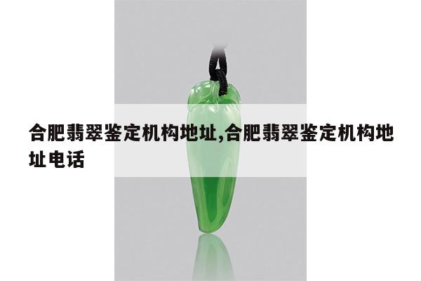 合肥翡翠鉴定机构地址,合肥翡翠鉴定机构地址电话